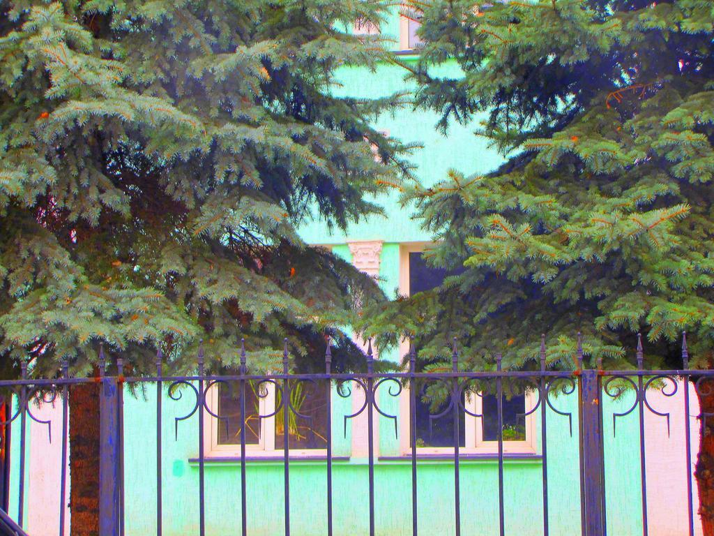 Guest House On Kaldaiakova 38 Almaty Exteriér fotografie